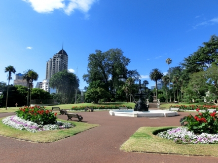 auckland (03)